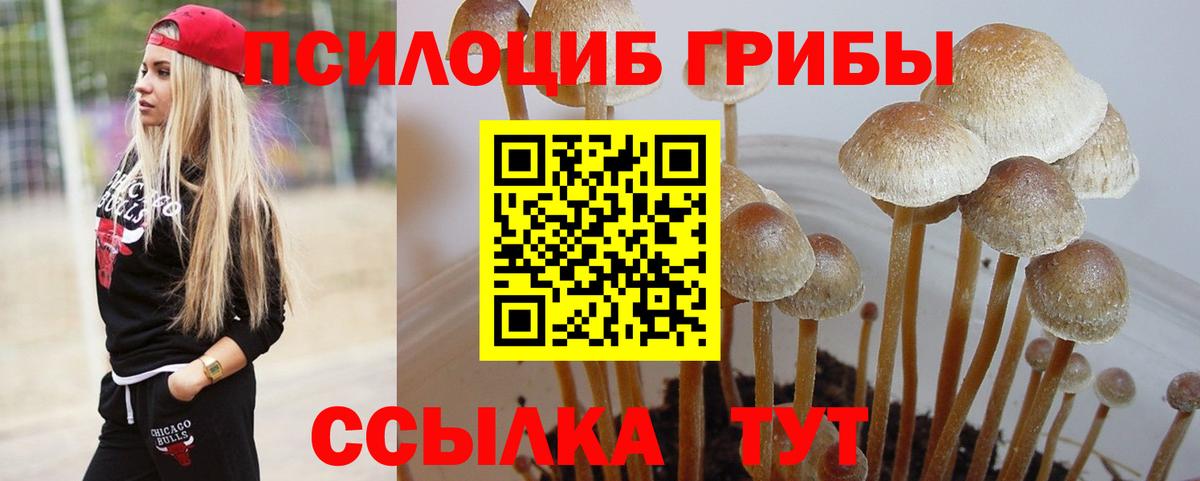 наркотики  Вход с VPN  Ангарск  Псилоцибиновые грибы Psilocybine cubensis 